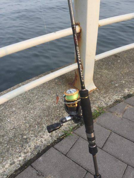 サイズちょい上がってきたかな