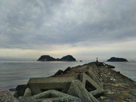 阿南市の辰巳でマゴチ