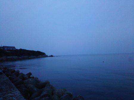 なんとか1パイ！