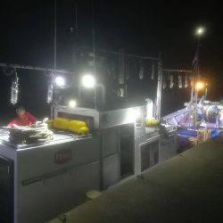 イカ釣り体験にて