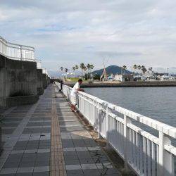 ツバス祭りです！