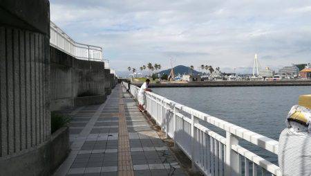 ツバス祭りです！