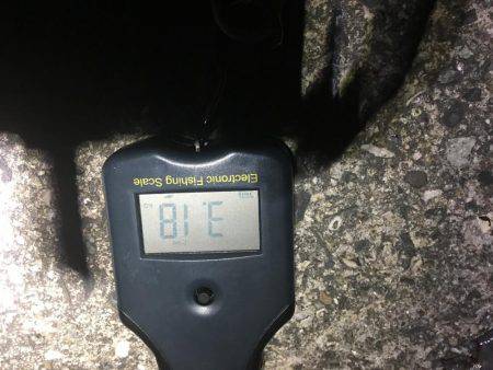 強風で夜まで我慢の釣り