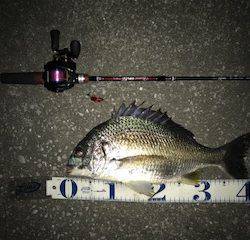 メバルがダメならチニングで