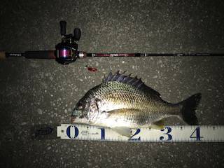 メバルがダメならチニングで