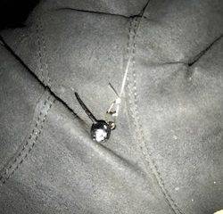 切られまくりのチニング釣行