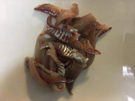 みなとみらいアジング