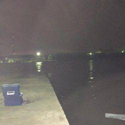 強風の中で……