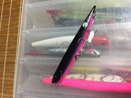 バチパターン継続か