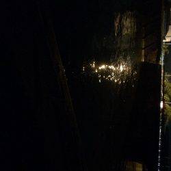 ゴミだらけでもいました。