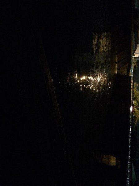 ゴミだらけでもいました。