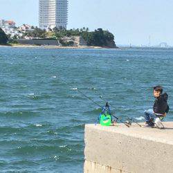 師崎ちょい投げ