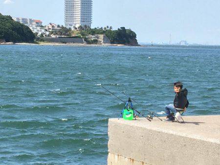 師崎ちょい投げ
