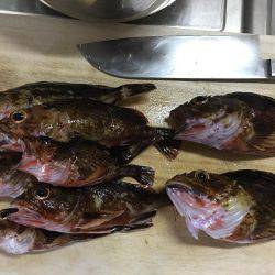 エギング、穴釣り