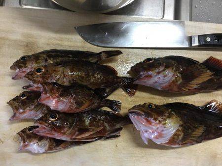 エギング、穴釣り