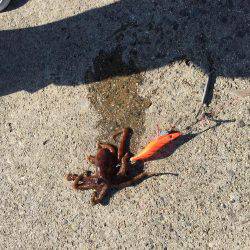 久しぶりに、、。