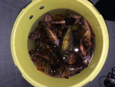 今期最後のロック便