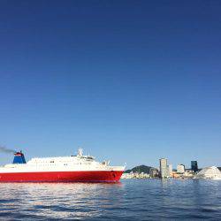 サビキの始まり