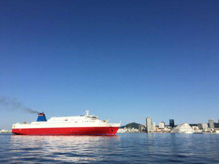 サビキの始まり