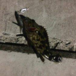 西風ポイントにて