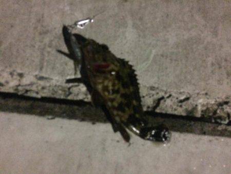 西風ポイントにて