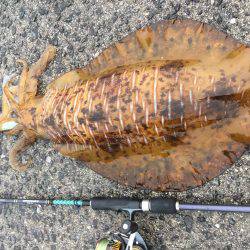 ２キロアップ！