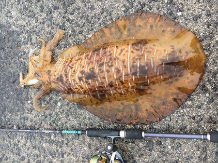 ２キロアップ！