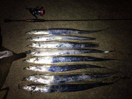 夕マヅメの太刀魚