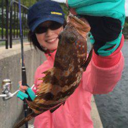 ちょい投げキスからエギング