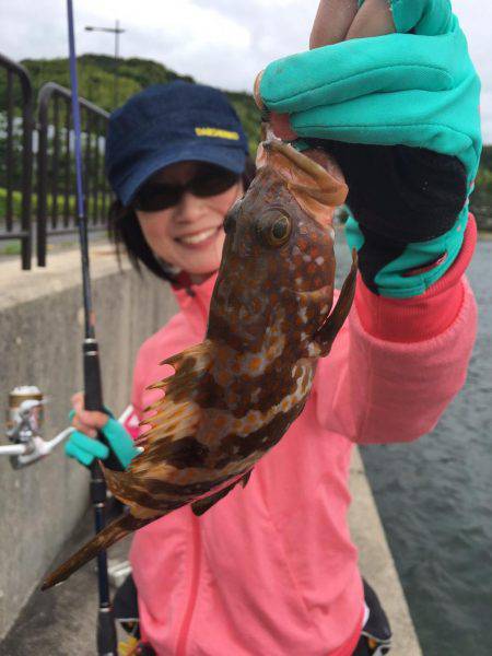 ちょい投げキスからエギング