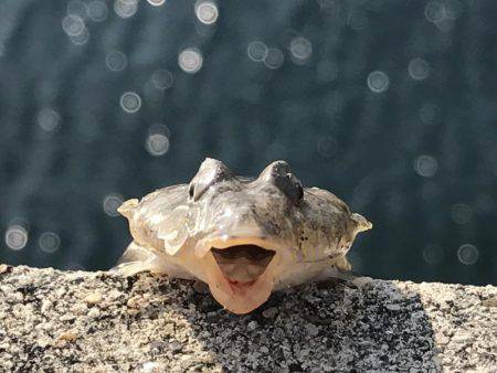 サイズ的にはまだ早いようです。