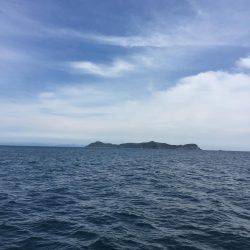 強風で釣行変更