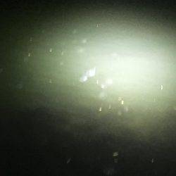 久しぶりの明石エリアでメバリング