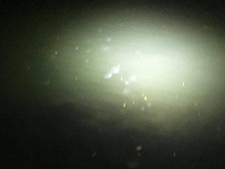 久しぶりの明石エリアでメバリング