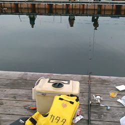 カタタ釣り堀でヒラマサ、カンパチ狙い