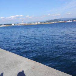 エソとタチウオを求めて!