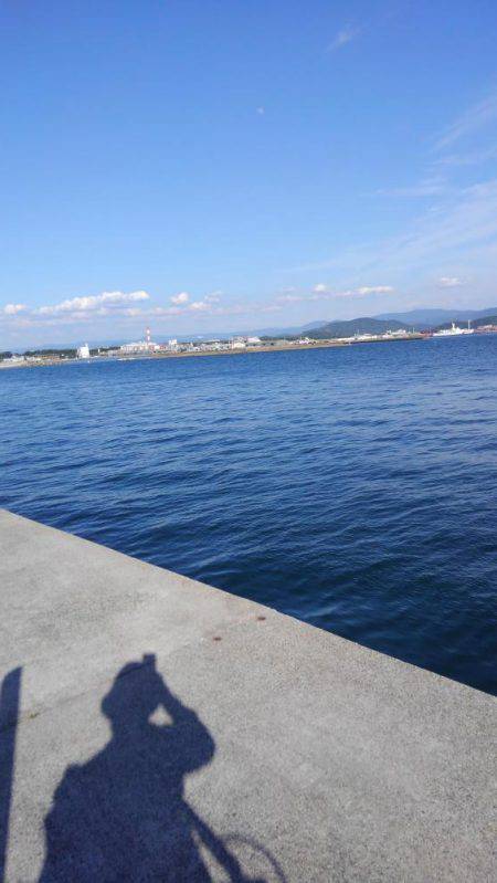 エソとタチウオを求めて!