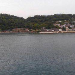 タチウオの喰いが渋い気がします