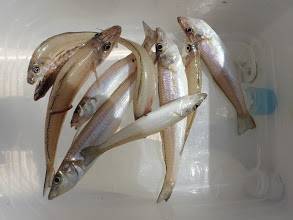 またまた、キス狙い。