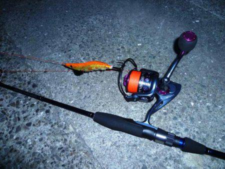 仕事帰りにちょっと…