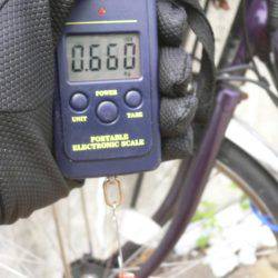 久しぶりのタコ