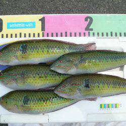 シーズン初の境水道釣行