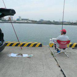 志筑バス停前でシーズン初の夜釣り