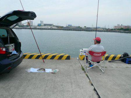 志筑バス停前でシーズン初の夜釣り