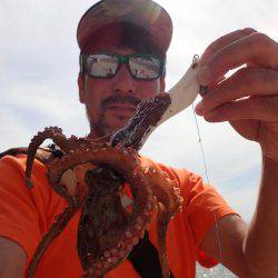 五目タコエギｄｅタコ