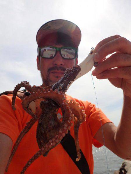 五目タコエギｄｅタコ