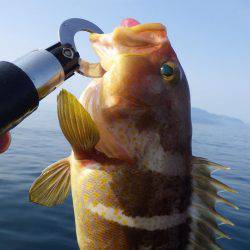 ジギング等いろいろ
