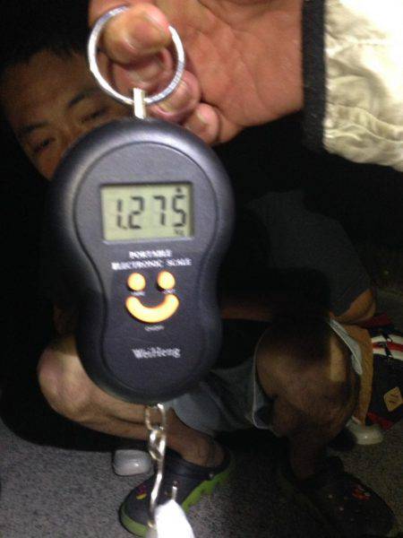 焼津　ふぃっしゅーな　アオリイカその他カサゴなど