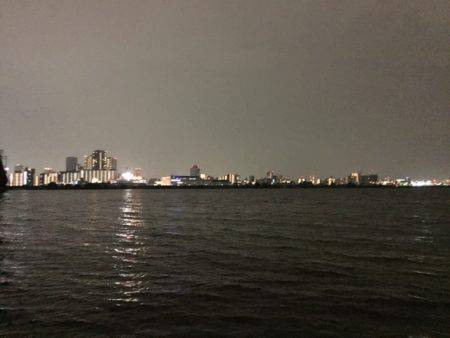 キビレ調査　ＮＯ，２３