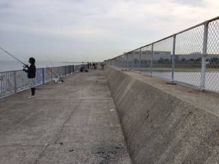 ツバスいました。